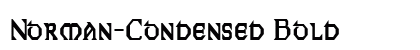 Norman-Condensed Bold font free download