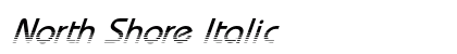 North Shore Italic Preview