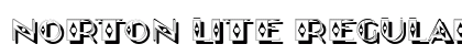Norton Lite Regular font free download