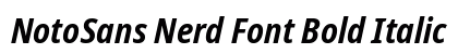 NotoSans Nerd Font Bold Italic Preview