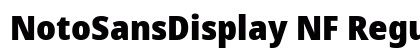 NotoSansDisplay NF Regular font free download
