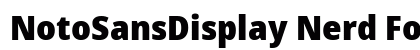 NotoSansDisplay Nerd Font Regular Preview
