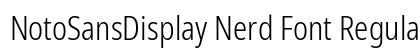 NotoSansDisplay Nerd Font Regular Preview