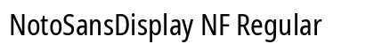 NotoSansDisplay NF Regular Preview
