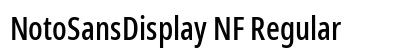 NotoSansDisplay NF Regular Preview