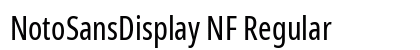 NotoSansDisplay NF Regular Preview