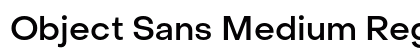 Object Sans Medium Regular font free download