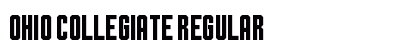 Ohio Collegiate Regular Font Preview