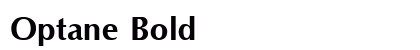 Optane Bold Preview