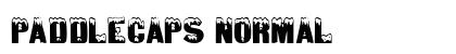 PaddleCaps Normal Font Preview PaddleCaps Normal Font Preview