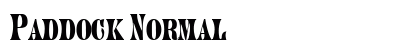 Paddock Normal Font Preview
