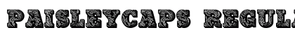 PaisleyCaps Regular font free download
