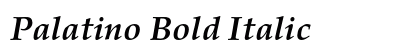 Palatino Bold Italic Preview