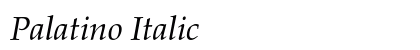 Palatino Italic Preview