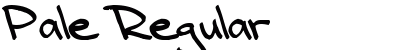 Pale Regular Preview