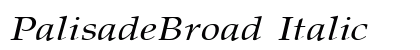 PalisadeBroad Italic Preview