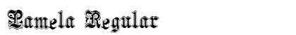 Pamela Regular Font Preview