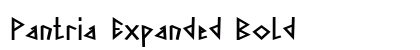 Pantria Expanded Bold Preview