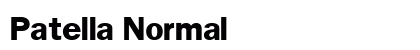 Patella Normal font free download
