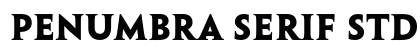 Penumbra Serif Std Bold Preview