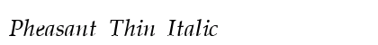 Pheasant Thin Italic font free download