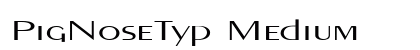 PigNoseTyp Medium Preview