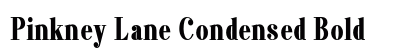 Pinkney Lane Condensed Bold Preview