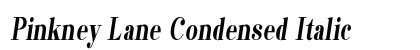 Pinkney Lane Condensed Italic Preview
