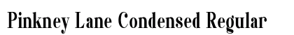 Pinkney Lane Condensed Regular Preview