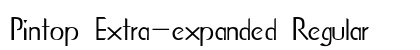 Pintop Extra-expanded Regular Preview