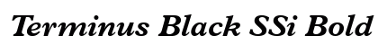 Terminus Black SSi Bold Italic font free download