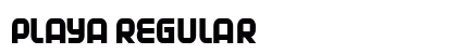 Playa Regular font free download