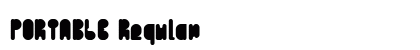 PORTABLE Regular Preview