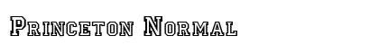 Princeton Normal font free download