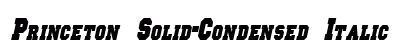 Princeton Solid-Condensed Italic Preview
