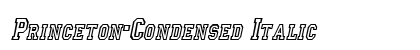 Princeton-Condensed Italic Preview