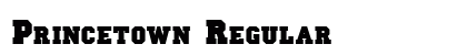 Princetown Regular font free download