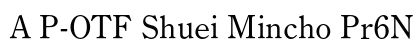 A P-OTF Shuei Mincho Pr6N L font free download