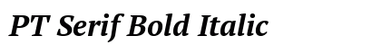 PT Serif Bold Italic font free download