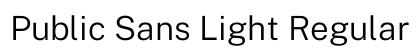 Public Sans Light Regular Preview