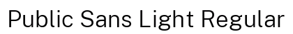 Public Sans Light Regular Preview