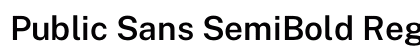 Public Sans SemiBold Regular font free download
