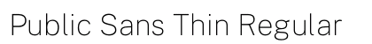 Public Sans Thin Regular font free download