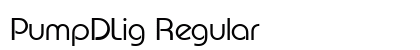PumpDLig Regular