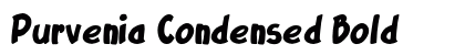 Purvenia Condensed Bold Preview