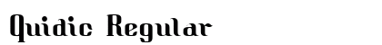 Quidic Regular Preview