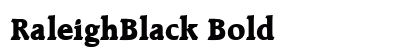 RaleighBlack Bold Preview