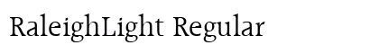 RaleighLight Regular Preview