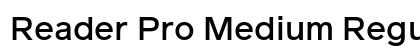 Reader Pro Medium Regular preview Reader Pro Medium Regular preview