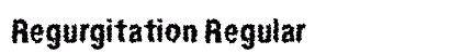 Regurgitation Regular preview